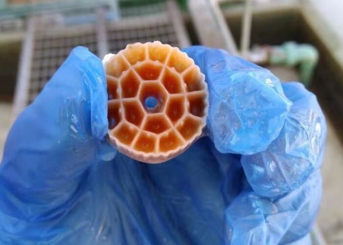 Black Virgin HDPE Material MBBR Plastic Filter Media Untuk Akuarium 25mm X 12mm