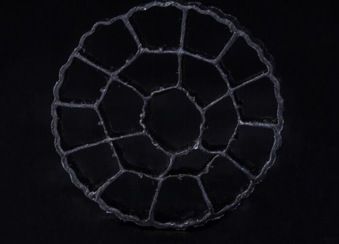 HDPE Material PE06 Bio Media, MBBR Filter Media 25mm X 12mm Berwarna