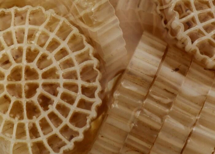 Pertanian Air Berbasis Daratan Formula Khusus BIO Bola Filter Media MBBR Untuk RAS